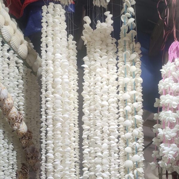 Sea Shell Curtain Sea Shell Curtain