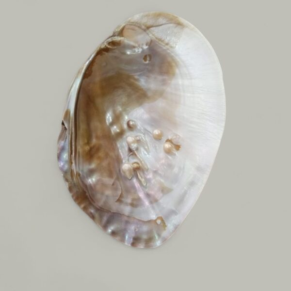 Pearl Plat